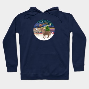 "Christmas Magic" with a Hoodie